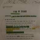 [시험관일기] 6. 자궁경후기, PGT검사결과(통배O),신선1차종료