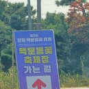 송림 | [서천/장항 맥문동꽃 축제] 충남서천 2025 맥문동꽃 축제 장항 송림산림욕장 미리 다녀온 후기
