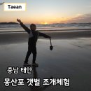 펜션 베네치아 | 몽산포 펜션 베네치아 숙소 태안 갯벌체험 해루질