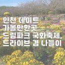 야생화 천아트 | 인천 데이트 가볼만한곳 드림파크 국화축제, 드라이브 겸 나들이