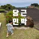 잔디밭민박 | 제주 아기랑 동쪽 숙소 감성 독채 당근민박 솔직 후기