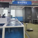성산포수산업협동조합 | 제주 동쪽 가성비 좋은 회 포장, 성산포 수협 '활어회센터'에서 고등어회 먹은 후기