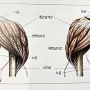 홈리짐 이미지