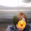 헤어sy 이미지