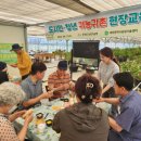 대전 7264 대전일보