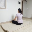 좌우대칭, 매트 필라테스 | 층간소음 걱정없는 스케쳐스 와이드 요가매트, 센터라인으로 홈필라테스 필수템 추천