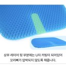 세탁일번가 | 벌집 쿨링 여름 사계절 방석, 적당히 폭신 탄탄한 방석 추천! 내돈내산