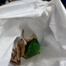 노량진 수산시장 대게 내돈내산(남돈남산) 후기 부부전복 초장집 또순이 룸 초장집 리스트
