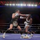 J World boxing 이미지