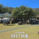 3917 | [나주] 애견동반 카페 찾는다면? 3917마중 디저트 맛집 후기