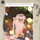 엶방학 2/2