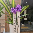 인후초등학교 이미지