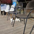 학하복용서로 | 폭스바겐 ID4 타이어 교체 후기 전기차 타이어 금호 VX51