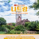 무안-9 이미지