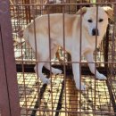 상임농장 이미지