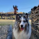 군위댐야영장 이미지