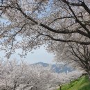삼문강변로 네이버블로그