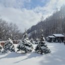 스탈릿캠핑펜션 이미지