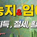 코끼리부동산TV