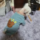 개운한날 이미지