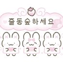 용두횟집 - 여수시 대경도길 12 | 용두횟집