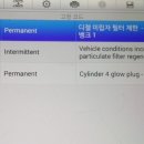 카데렐라 이미지