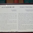 소답동135 이미지