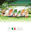 도그리니 이미지