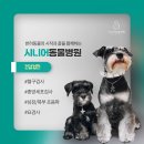 선릉동물병원 이미지