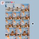 댕며들개 이미지