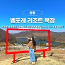 형제목장 | 증평 벨포레 목장 양몰이 시간 가격 충청도 가볼만한곳