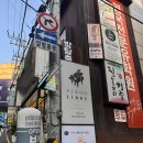 강남성인음악학원 피아노리브레 강남센터 일대일 레슨 및 연습 후기 ft.뉴에이지 히사이시조 summer