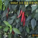 포천농약사 이미지