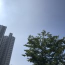 시대에 김포시에서 건강진단결과서(구 보건증) 신청한 후기! + 수정) 양촌읍 보건지소 9월 1일 폐쇄 결정