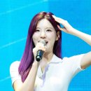 나는강아지 이미지