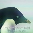 혜현 | 꿈이라고 했었나? 추억이라 했던가? 사랑해라 했었나?