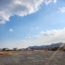 이철우공인중개사사무소 이미지