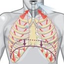 더나은신통의원 이미지