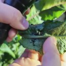 경안천 둔전생태공원 | 경기 광주 경안천습지생태공원 숲체험으로 아이 가을 체험학습 완벽 추천!