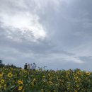 바람이좋은화산마을 이미지