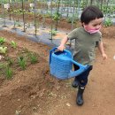 장화농장 이미지