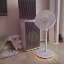 (주)세풍전기 | 한경희 저소음 무선 스탠드 선풍기 추천 14인치 BLDC 모터 탑재와 무드등까지?