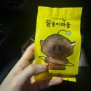 송연실비 | 2024 대전 당일치기 - 밥 커피 그리고 성심당(♥)