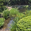 수지생태공원 이미지