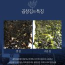 식탁의품격 이미지