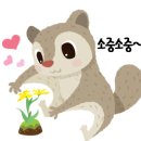 연산정육점 이미지