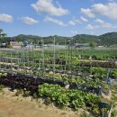 햇빛농장2 이미지