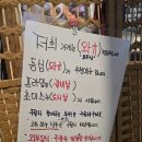 [강원 정선] 하이원 근처 소고기 맛집 찾는다면 함백산 실비식당, 3번째 방문한 이유(내돈내산)