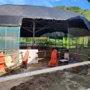 유성승마장 이미지