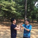 성실 태권도 이미지